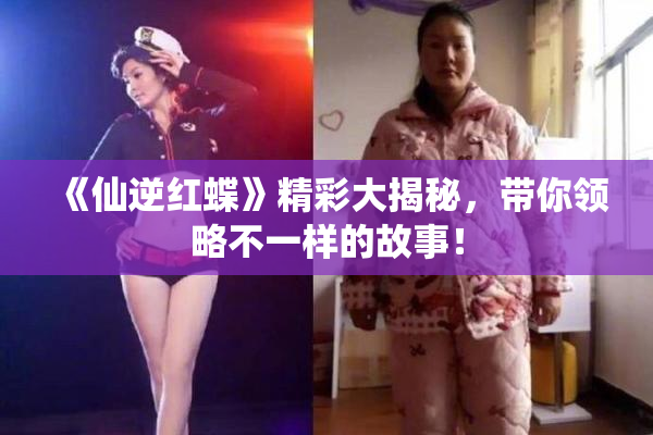《仙逆红蝶》精彩大揭秘，带你领略不一样的故事！