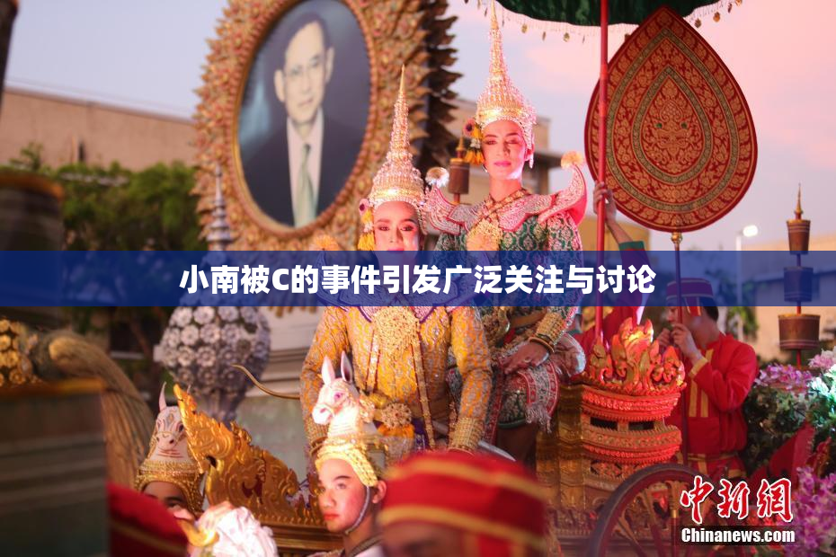 小南被C的事件引发广泛关注与讨论