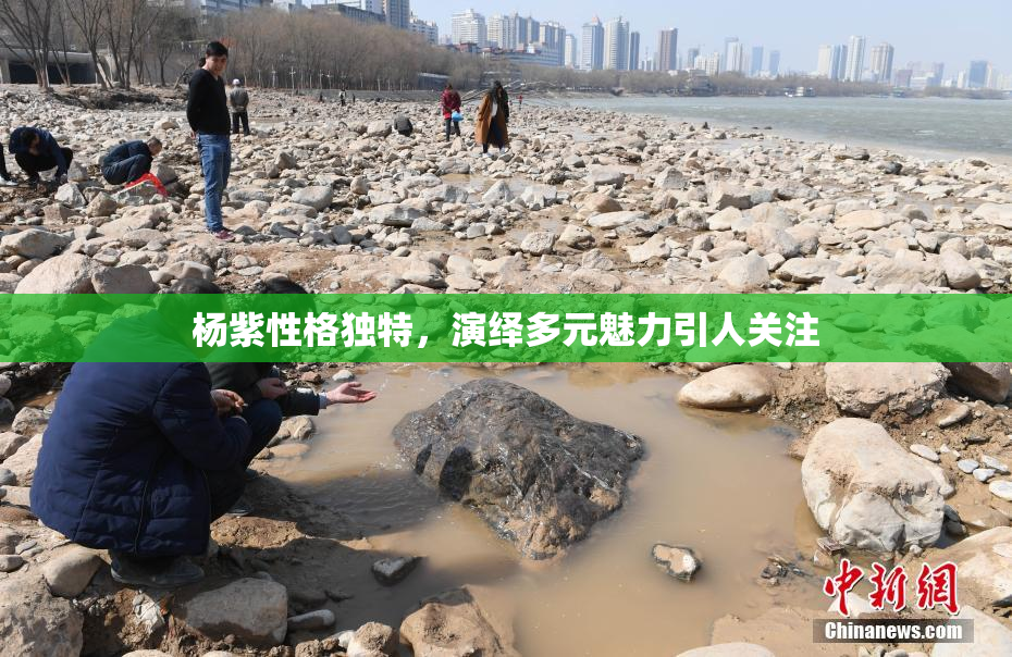 杨紫性格独特，演绎多元魅力引人关注