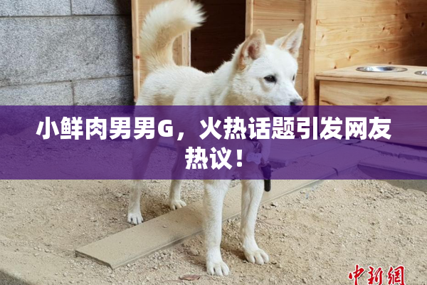 小鲜肉男男G，火热话题引发网友热议！
