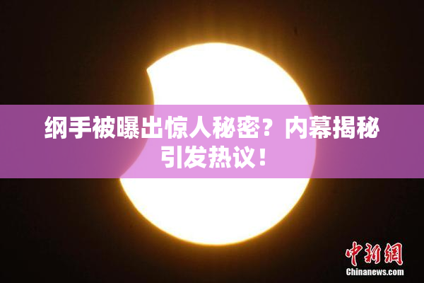 纲手被曝出惊人秘密？内幕揭秘引发热议！