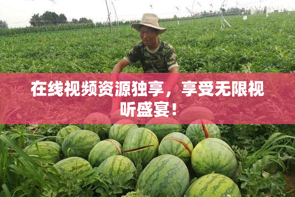 在线视频资源独享，享受无限视听盛宴！