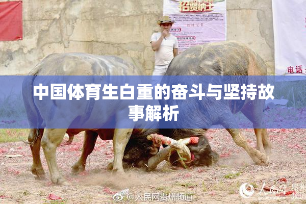 中国体育生白重的奋斗与坚持故事解析