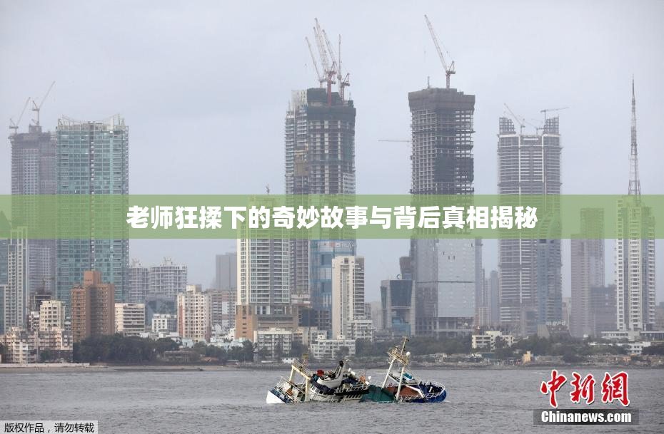 老师狂揉下的奇妙故事与背后真相揭秘