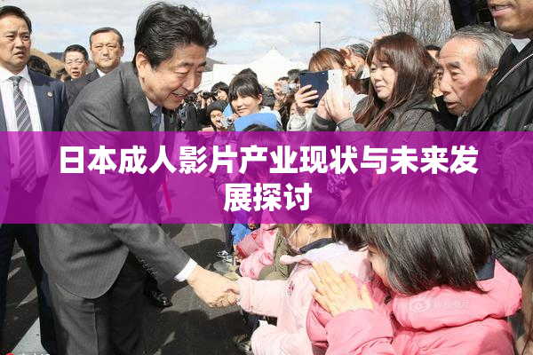 日本成人影片产业现状与未来发展探讨