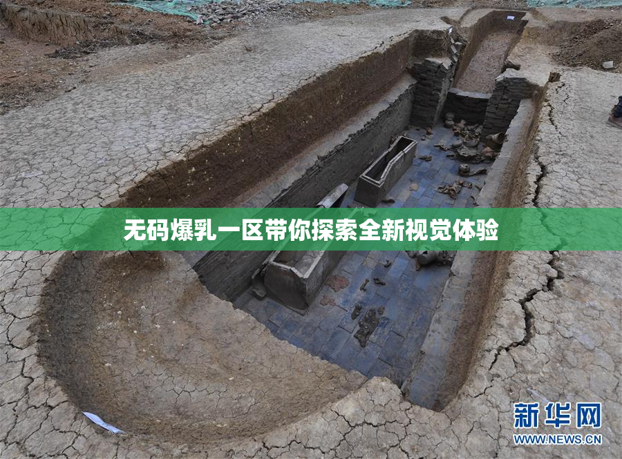 无码爆乳一区带你探索全新视觉体验