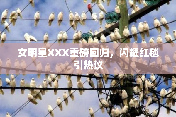 女明星XXX重磅回归，闪耀红毯引热议