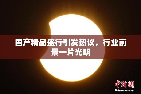 国产精品盛行引发热议，行业前景一片光明