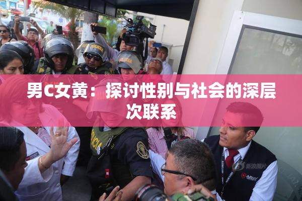 男C女黄：探讨性别与社会的深层次联系