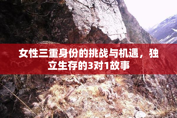 女性三重身份的挑战与机遇，独立生存的3对1故事