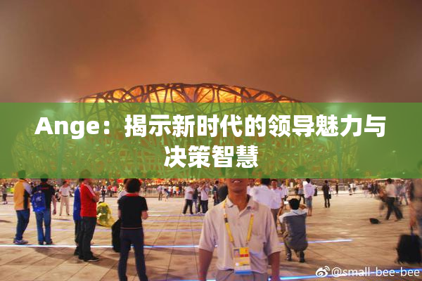 Ange：揭示新时代的领导魅力与决策智慧
