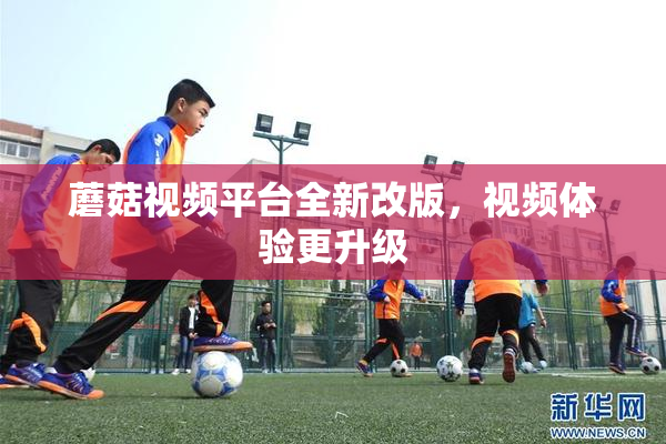 蘑菇视频平台全新改版，视频体验更升级