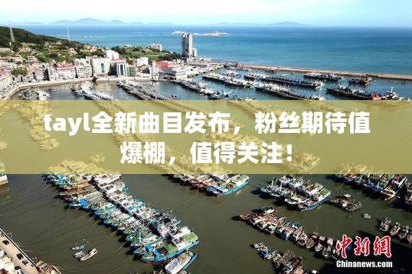 tayl全新曲目发布，粉丝期待值爆棚，值得关注！