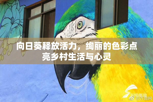 向日葵释放活力，绚丽的色彩点亮乡村生活与心灵