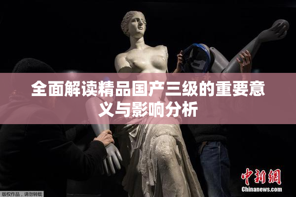 全面解读精品国产三级的重要意义与影响分析