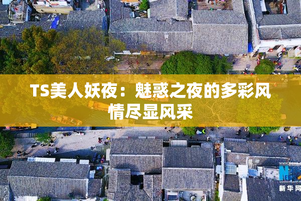 TS美人妖夜：魅惑之夜的多彩风情尽显风采