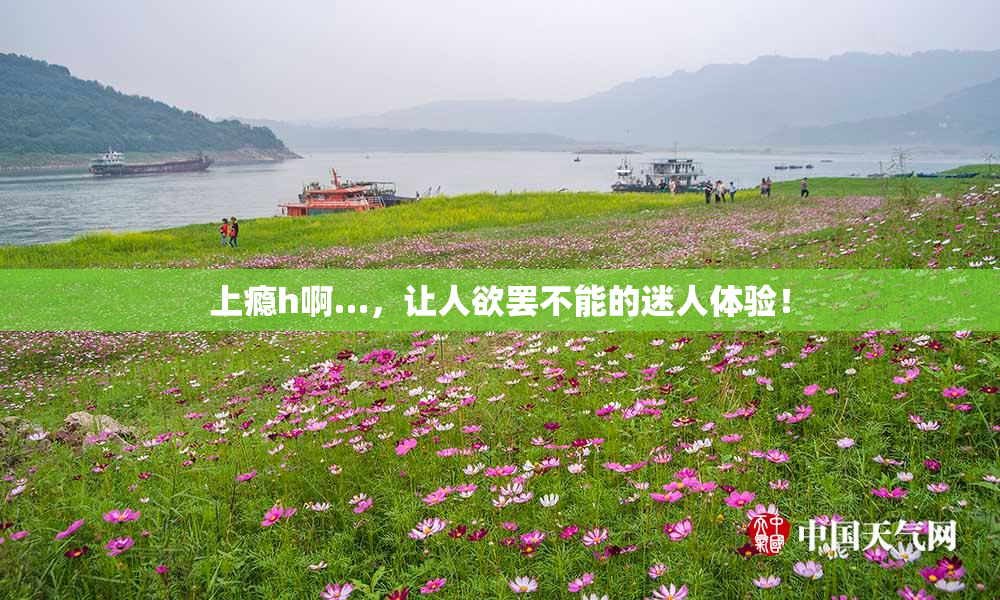 上瘾h啊…，让人欲罢不能的迷人体验！