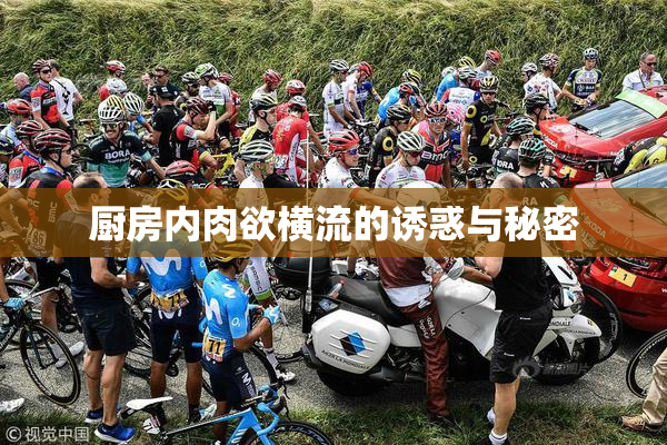 厨房内肉欲横流的诱惑与秘密