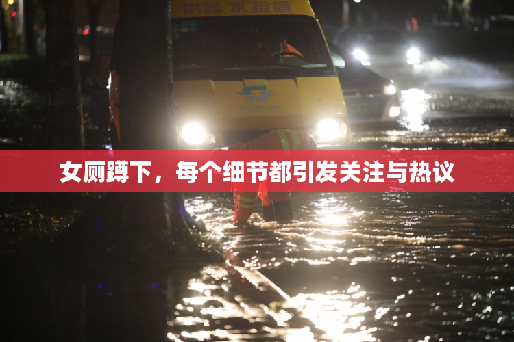 女厕蹲下，每个细节都引发关注与热议