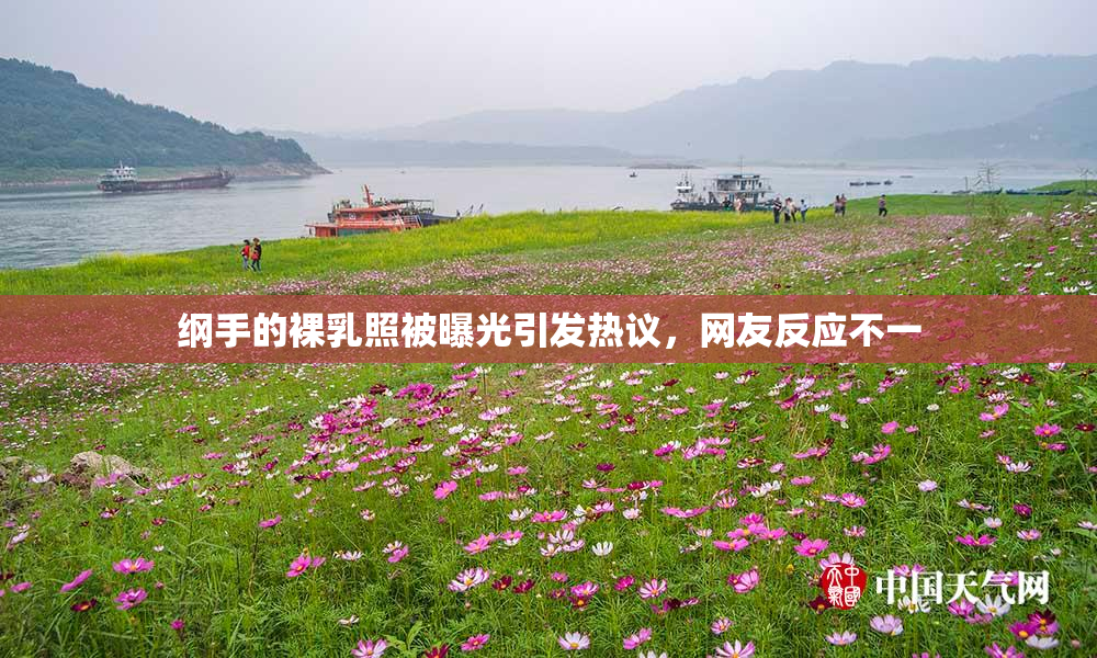 纲手的裸乳照被曝光引发热议，网友反应不一
