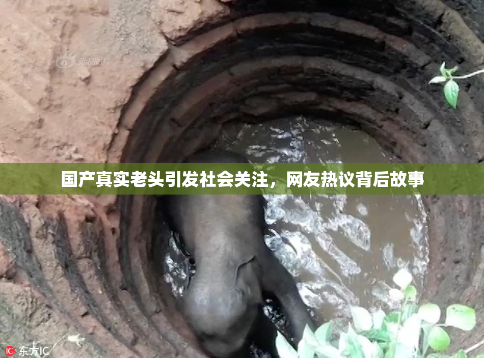 国产真实老头引发社会关注，网友热议背后故事