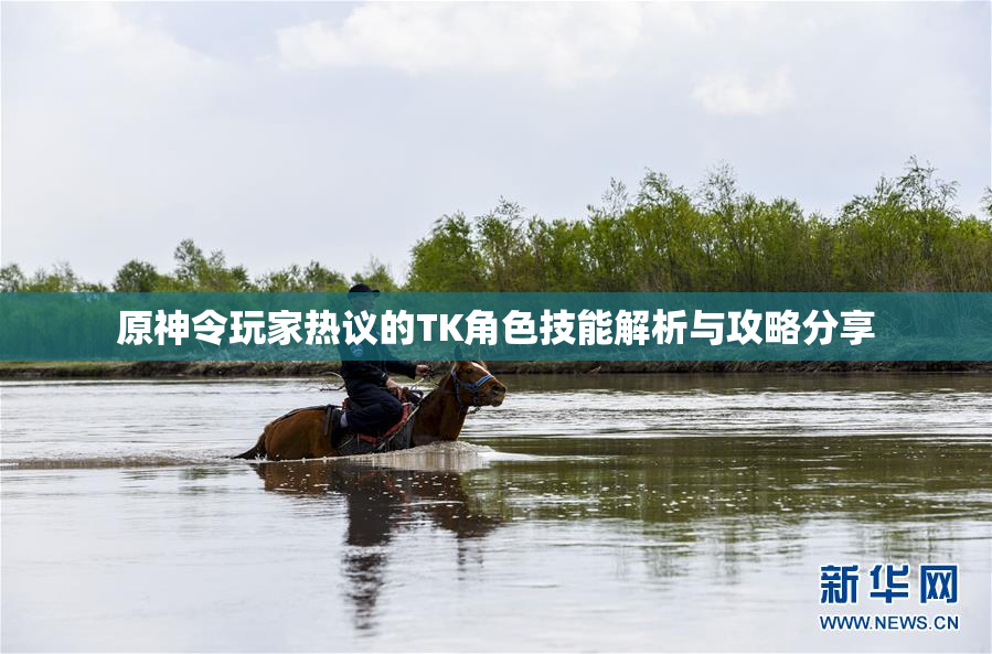 原神令玩家热议的TK角色技能解析与攻略分享