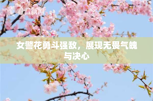 女警花勇斗强敌，展现无畏气魄与决心