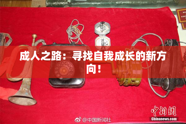 成人之路：寻找自我成长的新方向！