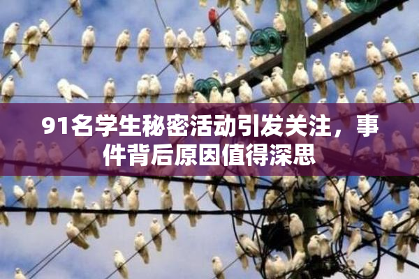 91名学生秘密活动引发关注，事件背后原因值得深思