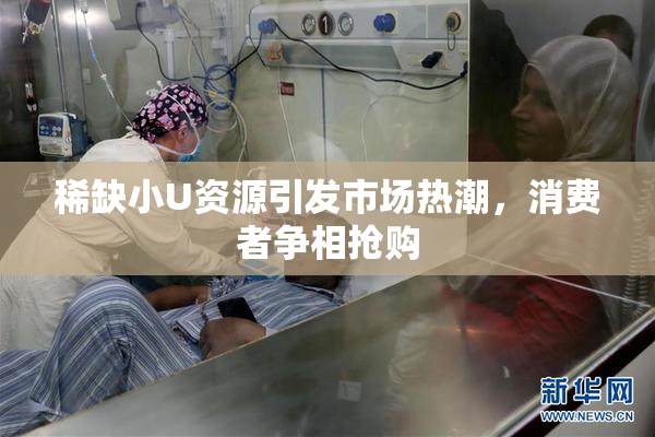 稀缺小U资源引发市场热潮，消费者争相抢购