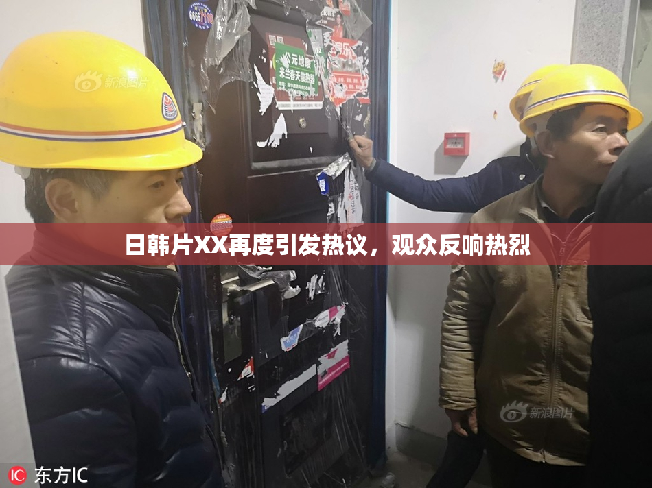 日韩片XX再度引发热议，观众反响热烈