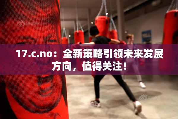 17.c.no：全新策略引领未来发展方向，值得关注！