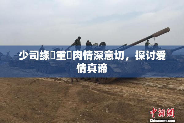少司缘婬重泬肉情深意切，探讨爱情真谛