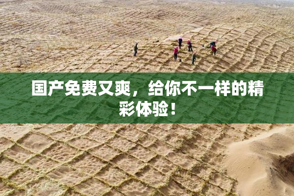 国产免费又爽，给你不一样的精彩体验！