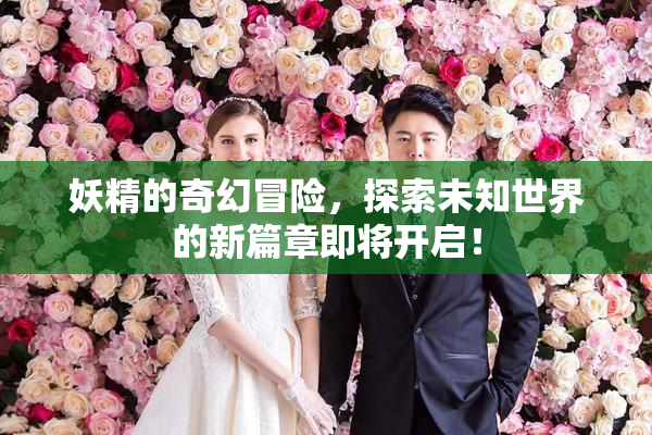 妖精的奇幻冒险，探索未知世界的新篇章即将开启！