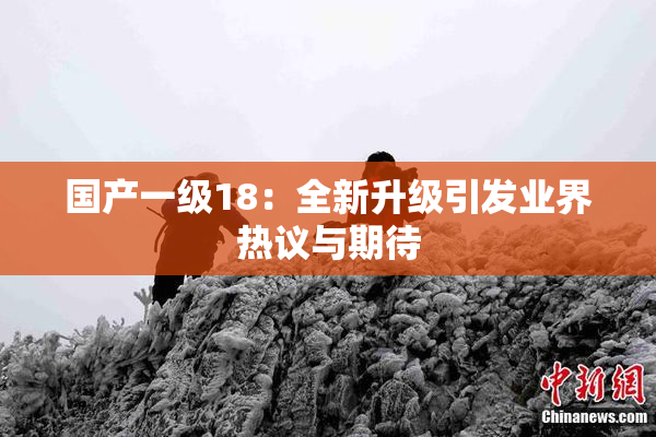 国产一级18：全新升级引发业界热议与期待