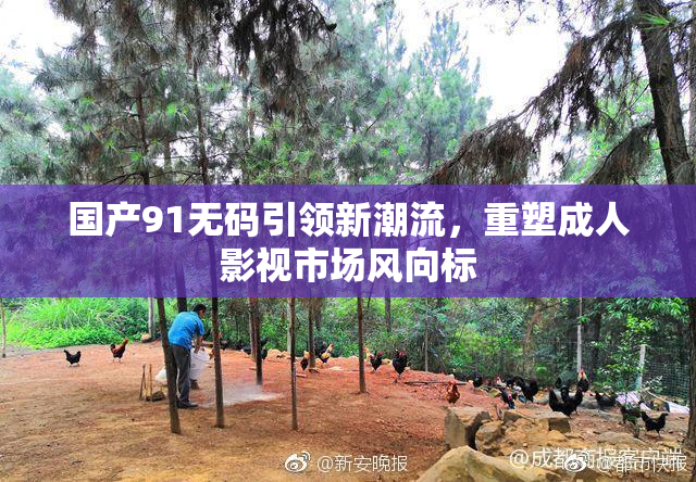 国产91无码引领新潮流，重塑成人影视市场风向标