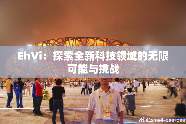 EhVi：探索全新科技领域的无限可能与挑战