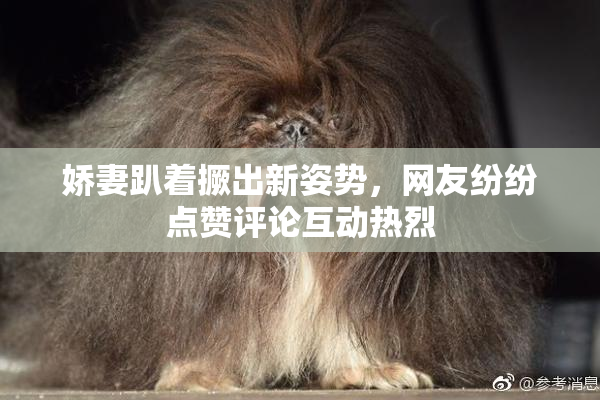 娇妻趴着撅出新姿势，网友纷纷点赞评论互动热烈