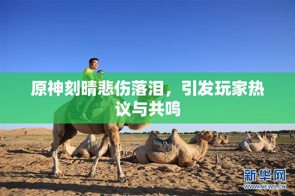 原神刻晴悲伤落泪，引发玩家热议与共鸣