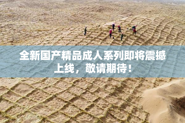 全新国产精品成人系列即将震撼上线，敬请期待！