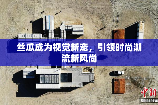 丝瓜成为视觉新宠，引领时尚潮流新风尚