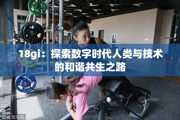 18gi：探索数字时代人类与技术的和谐共生之路