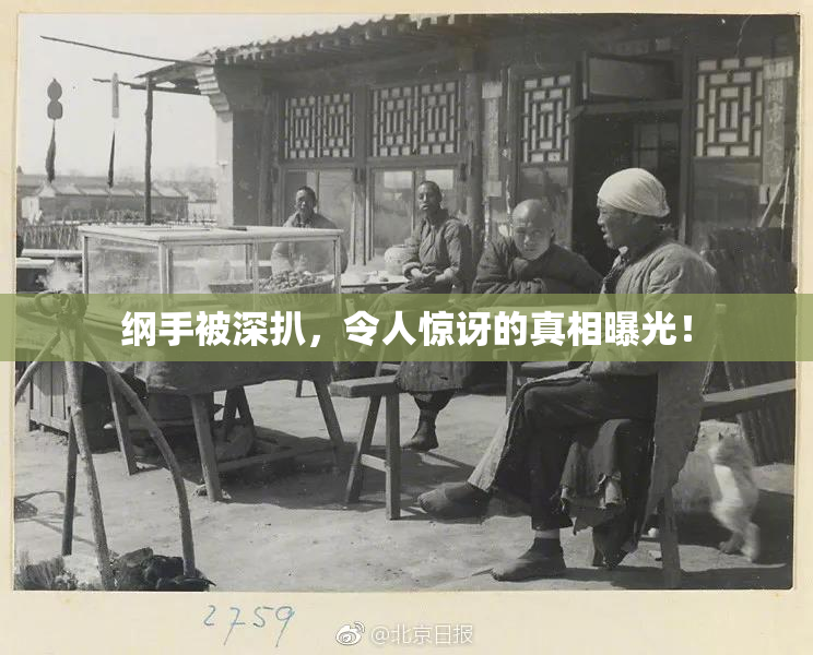 纲手被深扒，令人惊讶的真相曝光！