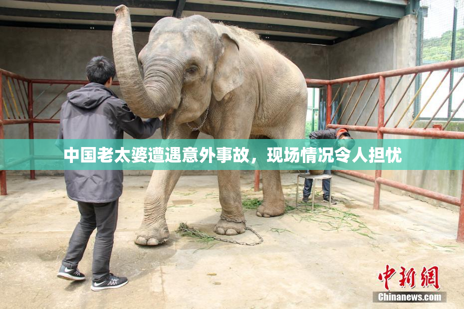 中国老太婆遭遇意外事故，现场情况令人担忧