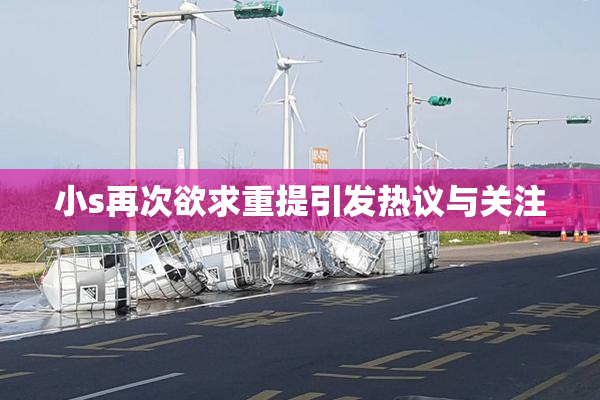 小s再次欲求重提引发热议与关注