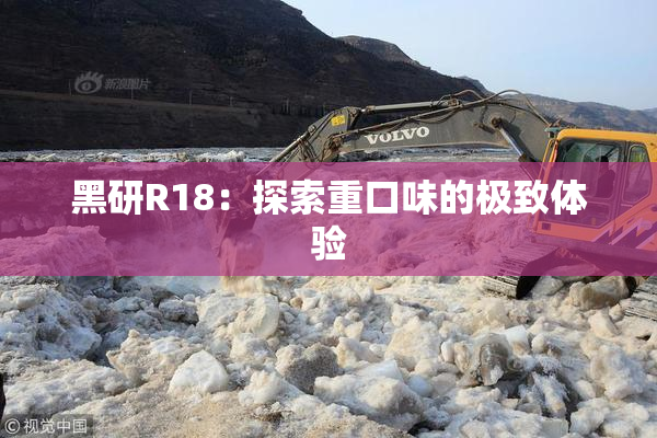 黑研R18：探索重口味的极致体验