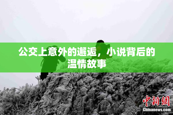 公交上意外的邂逅，小说背后的温情故事