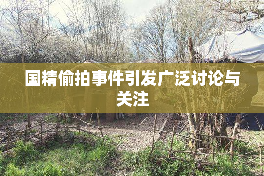 国精偷拍事件引发广泛讨论与关注