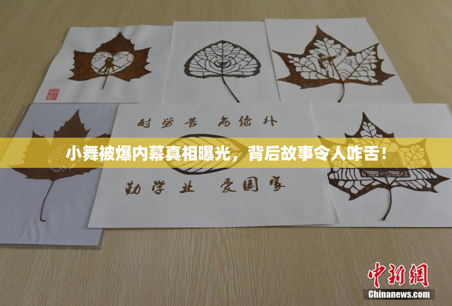 小舞被爆内幕真相曝光，背后故事令人咋舌！